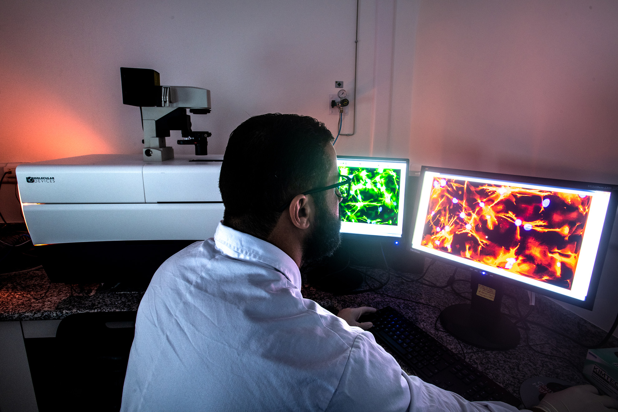 Pesquisadores em laboratório de biotecnologia